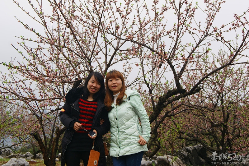 我也出去逛了一回585 / 作者:翠峰紫阳 / 帖子ID:61671