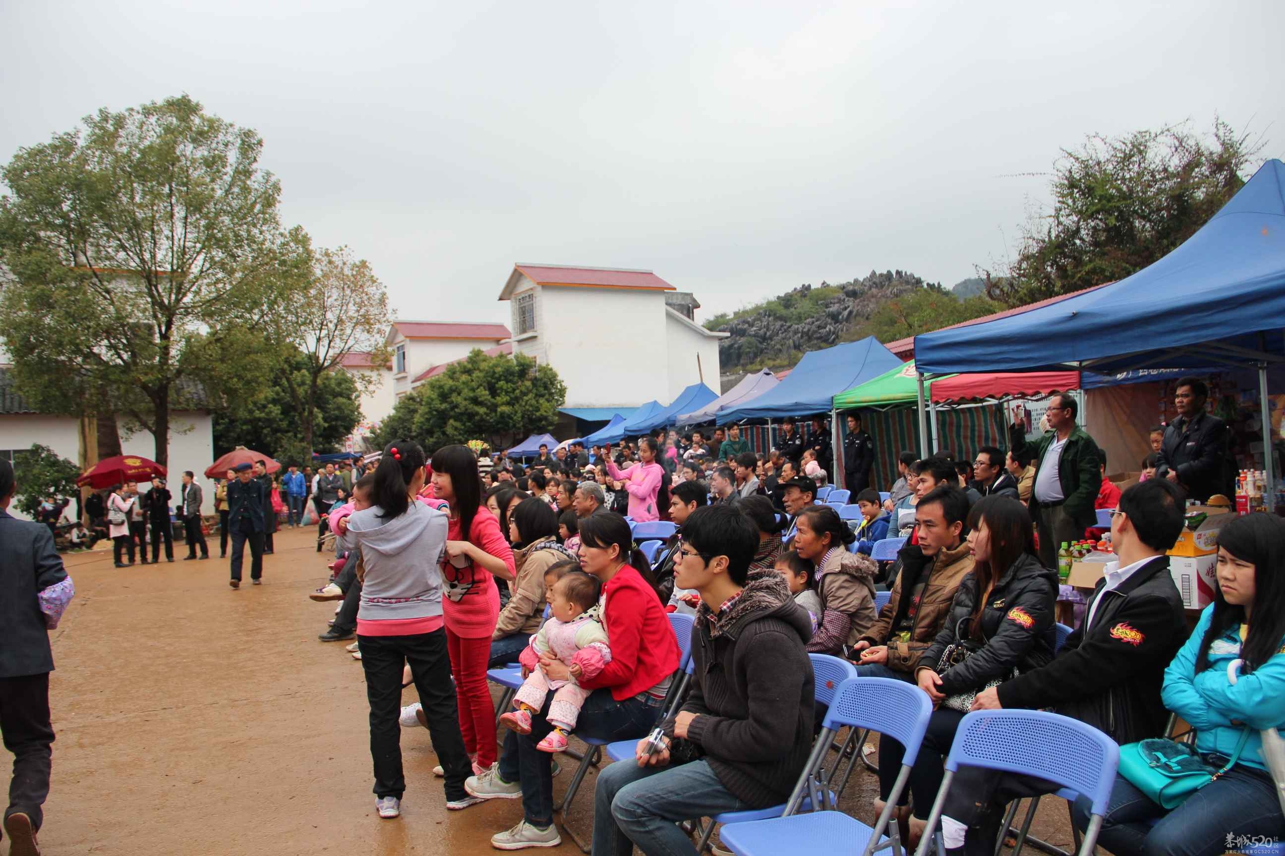 恭城520社区 2013行桃花园.走桃花运活动 图片集中营（已更新）！192 / 作者:小紫 / 帖子ID:61681