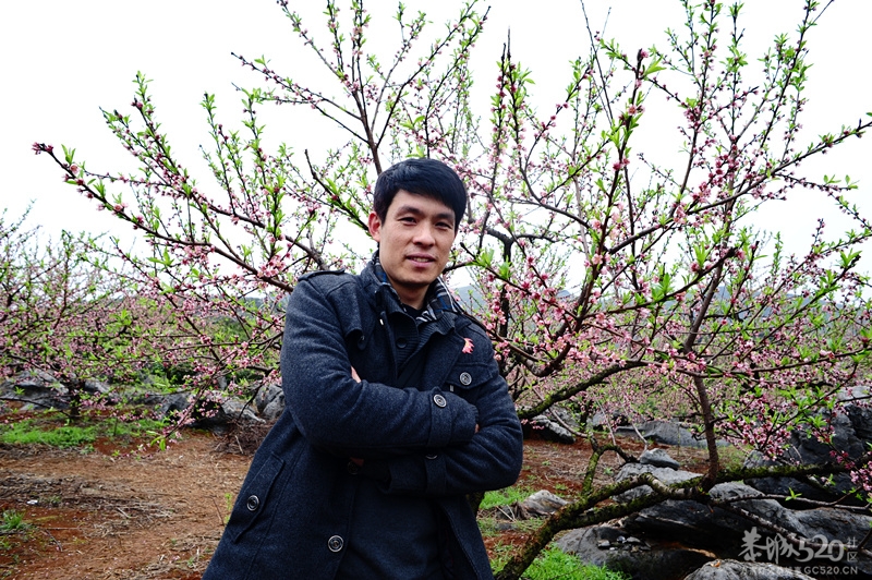 恭城520社区 2013行桃花园.走桃花运活动 图片集中营（已更新）！712 / 作者:孤单远行 / 帖子ID:61681