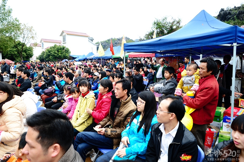 恭城520社区 2013行桃花园.走桃花运活动 图片集中营（已更新）！45 / 作者:孤单远行 / 帖子ID:61681