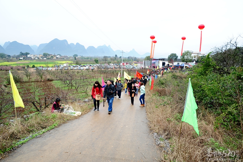 恭城520社区 2013行桃花园.走桃花运活动 图片集中营（已更新）！228 / 作者:孤单远行 / 帖子ID:61681