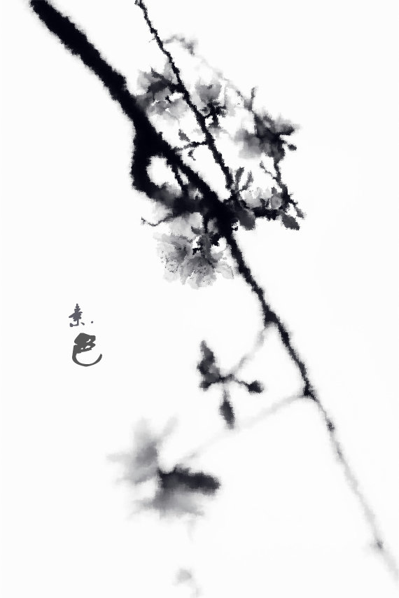 素.色200 / 作者:195 / 帖子ID:63295