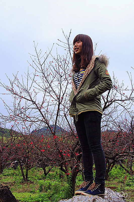 寻人启示63 / 作者:瑶乡看兰 / 帖子ID:63329