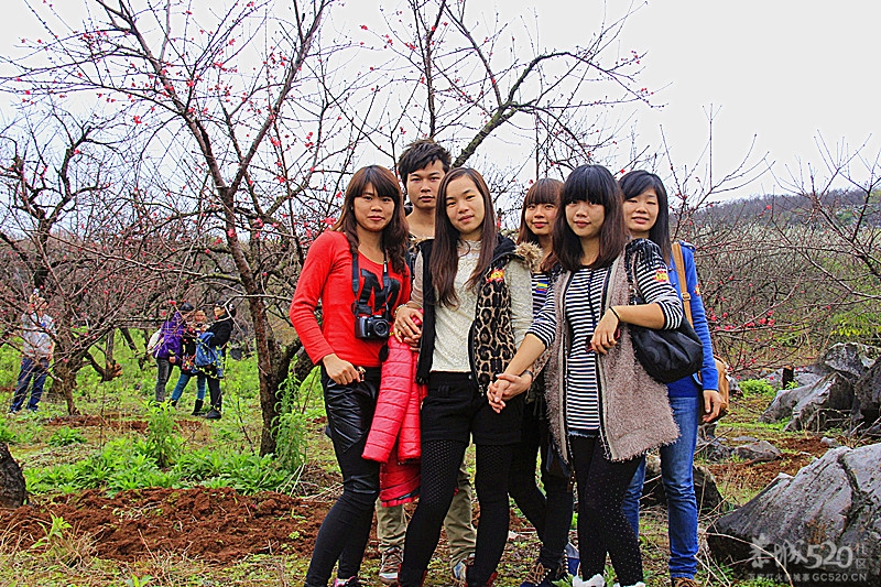 寻人启示331 / 作者:瑶乡看兰 / 帖子ID:63329