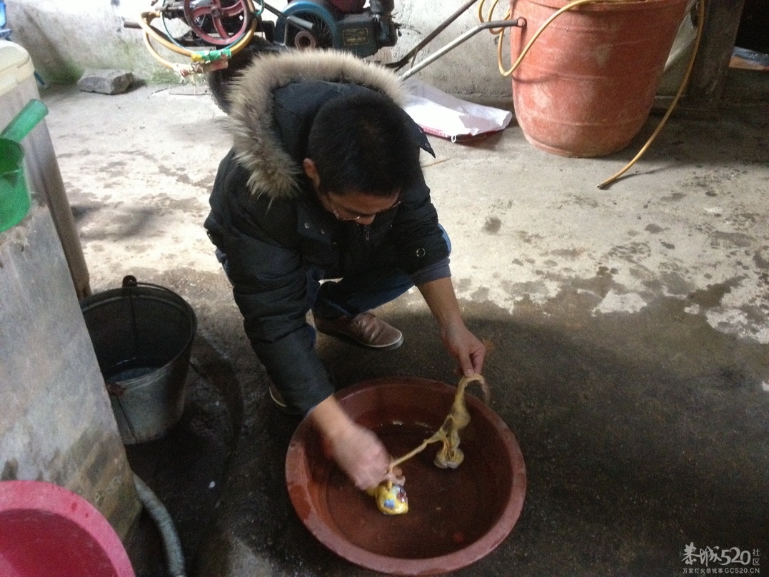 迟到的作业，石口花炮节，寻找逝去的瑶族文化，附瑶族发源地“千家峒”简介(全文完）350 / 作者:人在旅途888 / 帖子ID:63464