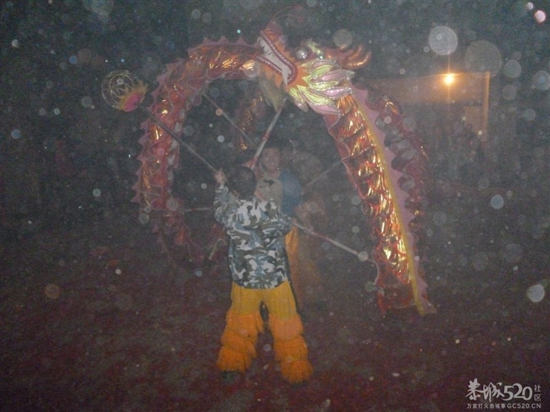 后街地元宵节舞狮606 / 作者:极速6688 / 帖子ID:63605