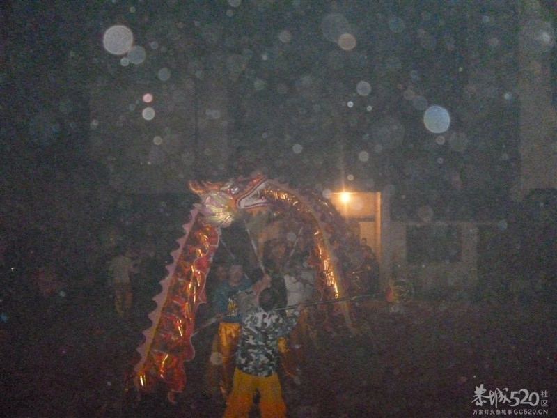 后街地元宵节舞狮109 / 作者:极速6688 / 帖子ID:63605