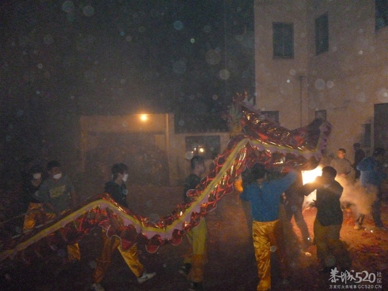 后街地元宵节舞狮250 / 作者:极速6688 / 帖子ID:63605