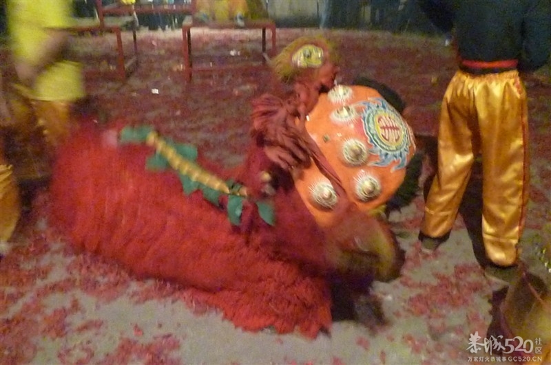 后街地元宵节舞狮416 / 作者:极速6688 / 帖子ID:63605