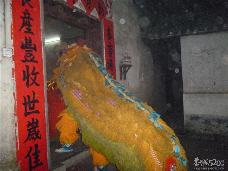 后街地元宵节舞狮101 / 作者:极速6688 / 帖子ID:63605