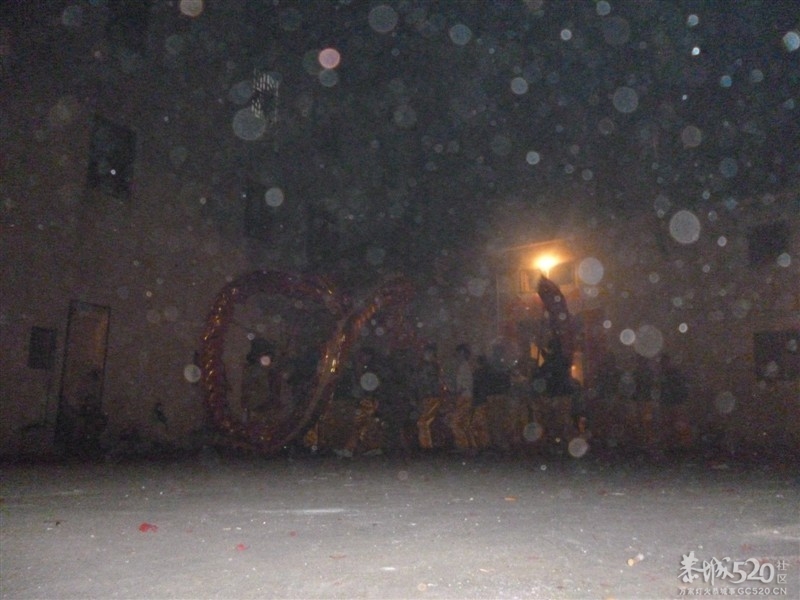 后街地元宵节舞狮956 / 作者:极速6688 / 帖子ID:63605