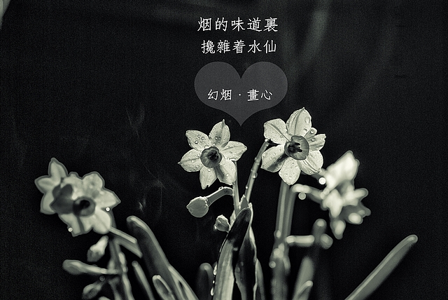【PhotoByGG】幻烟·画心330 / 作者:小兔子 / 帖子ID:63697