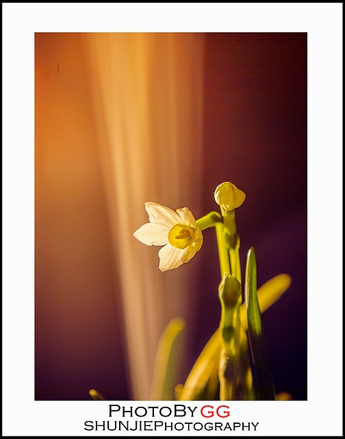 【PhotoByGG】幻烟·画心533 / 作者:小兔子 / 帖子ID:63697