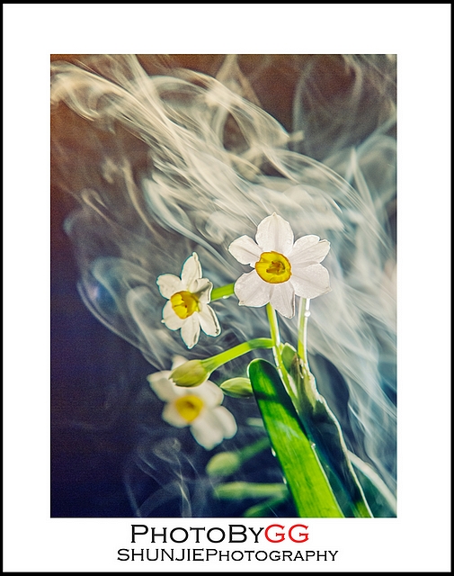 【PhotoByGG】幻烟·画心434 / 作者:小兔子 / 帖子ID:63697