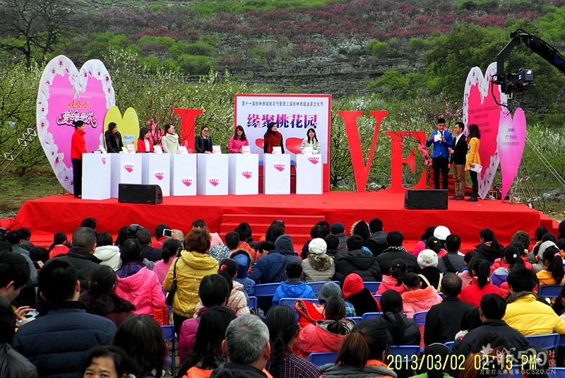 大岭山桃花怒放 今日里游客满场765 / 作者:柚子壳※ / 帖子ID:63745