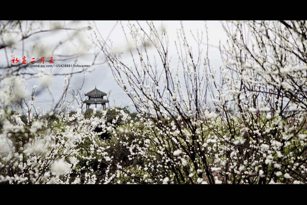 2013、二月。639 / 作者:講不醜 / 帖子ID:63748