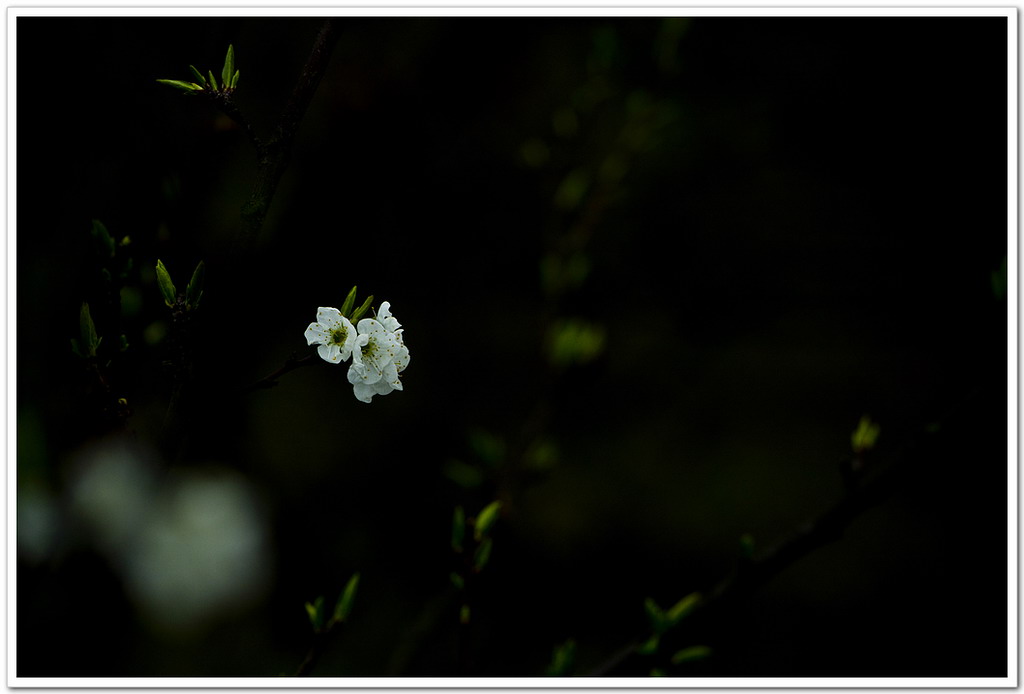 2013、二月。165 / 作者:講不醜 / 帖子ID:63748