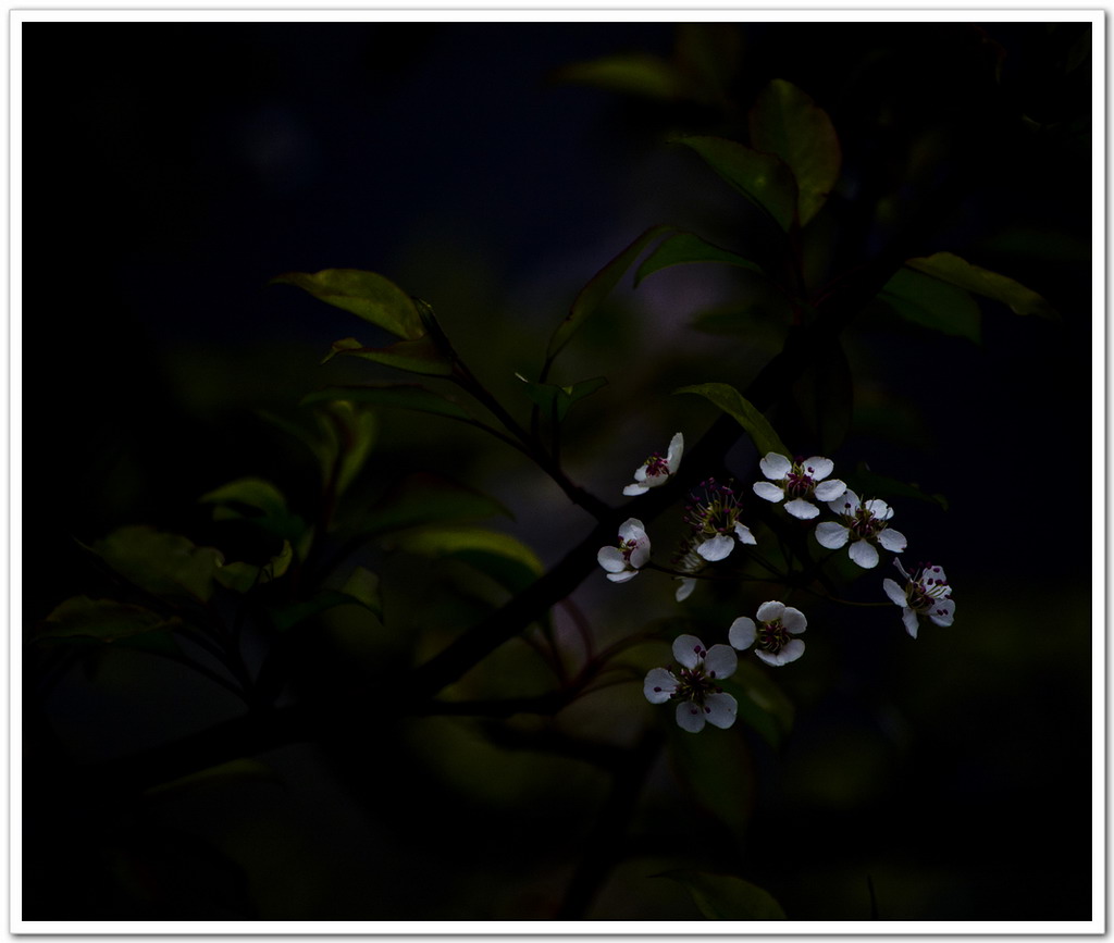 2013、二月。347 / 作者:講不醜 / 帖子ID:63748