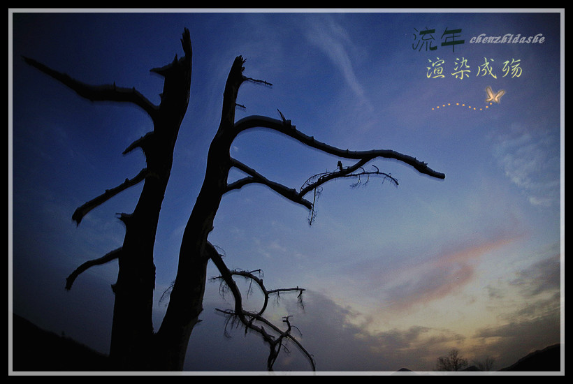 夜477 / 作者:其修远 / 帖子ID:63872