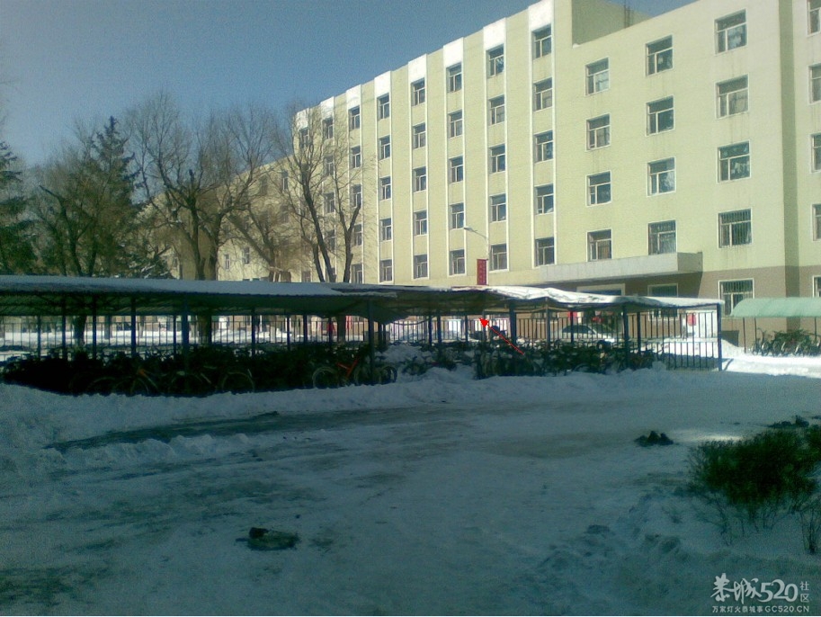 暴雪过后904 / 作者:马路桥~八区 / 帖子ID:63937