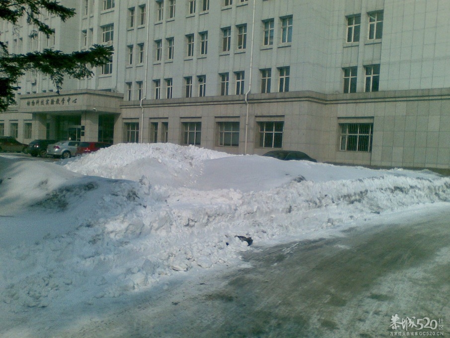 暴雪过后877 / 作者:马路桥~八区 / 帖子ID:63937