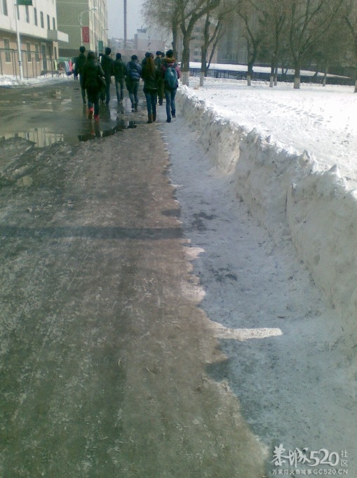 暴雪过后280 / 作者:马路桥~八区 / 帖子ID:63937