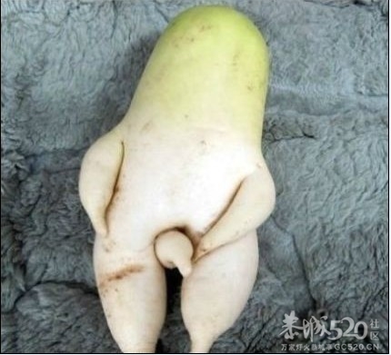 萝卜216 / 作者:极速6688 / 帖子ID:64059