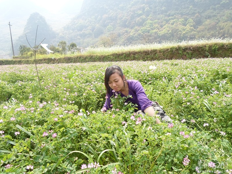 2013恭城交友群--徒步阳朔遇龙河396 / 作者:斯巴达克斯 / 帖子ID:64205