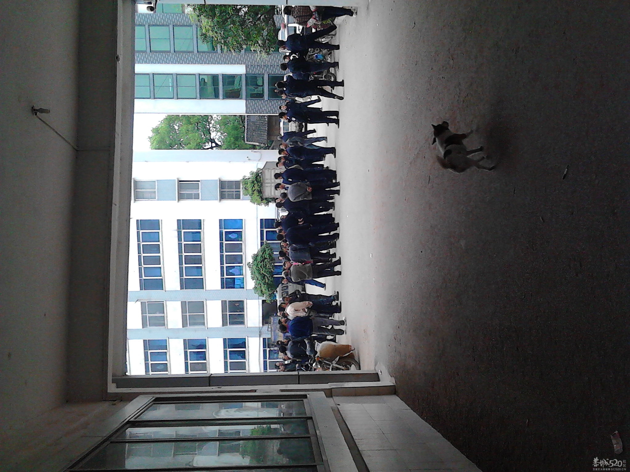 恭城交警在西岭暴力执法,引大批群众围观政府,险酿群体事件22 / 作者:开拖拉机进城 / 帖子ID:64499