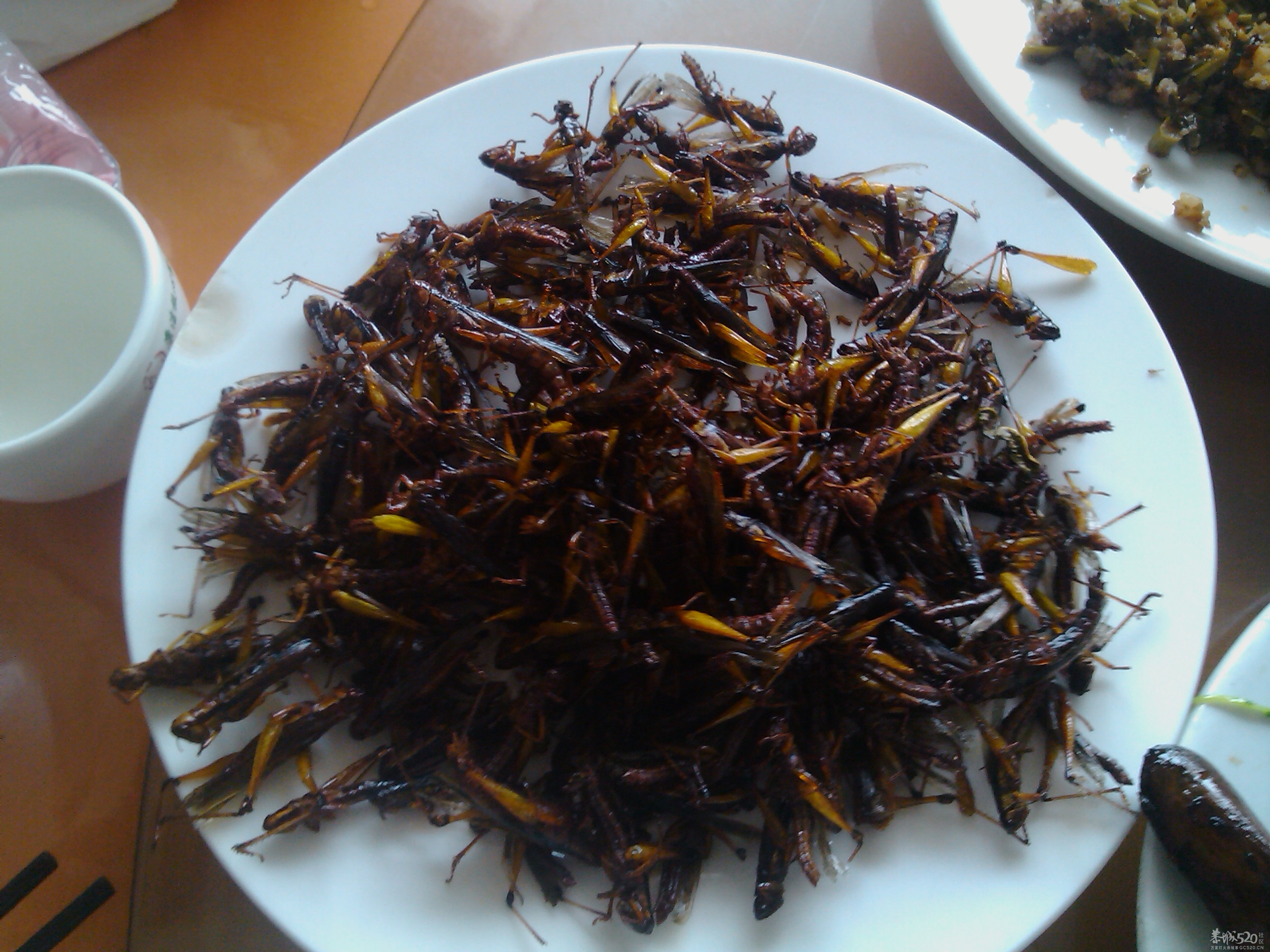 来一碟下酒菜503 / 作者:麻蛋 / 帖子ID:64721