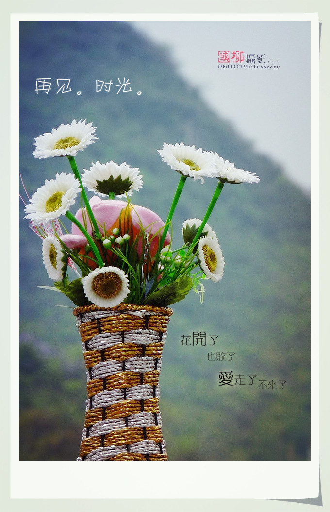 在家拍束塑料花192 / 作者:与孤独共舞 / 帖子ID:64768