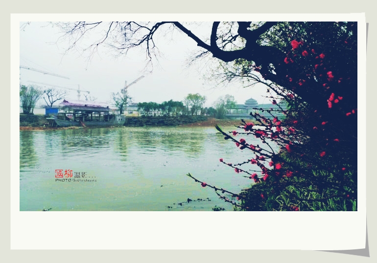 雾锁桃花江311 / 作者:与孤独共舞 / 帖子ID:64781