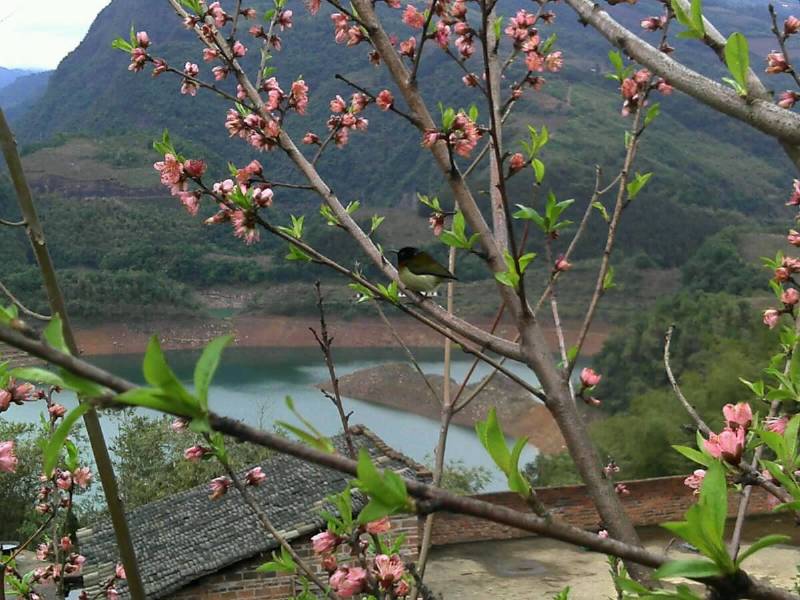 搞个烂手机我也照起好有瘾滴。。好久呗来了，露个脸，证明我还在倒。。哈哈612 / 作者:若無其事 / 帖子ID:64971