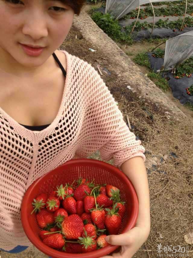 清爽草莓妹868 / 作者:熟悉的陌生人 / 帖子ID:65368