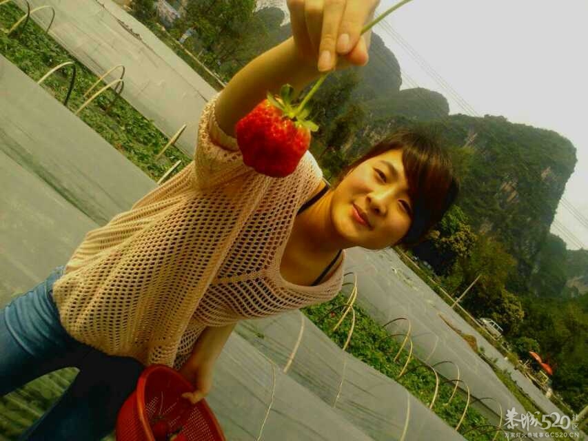 清爽草莓妹86 / 作者:熟悉的陌生人 / 帖子ID:65368