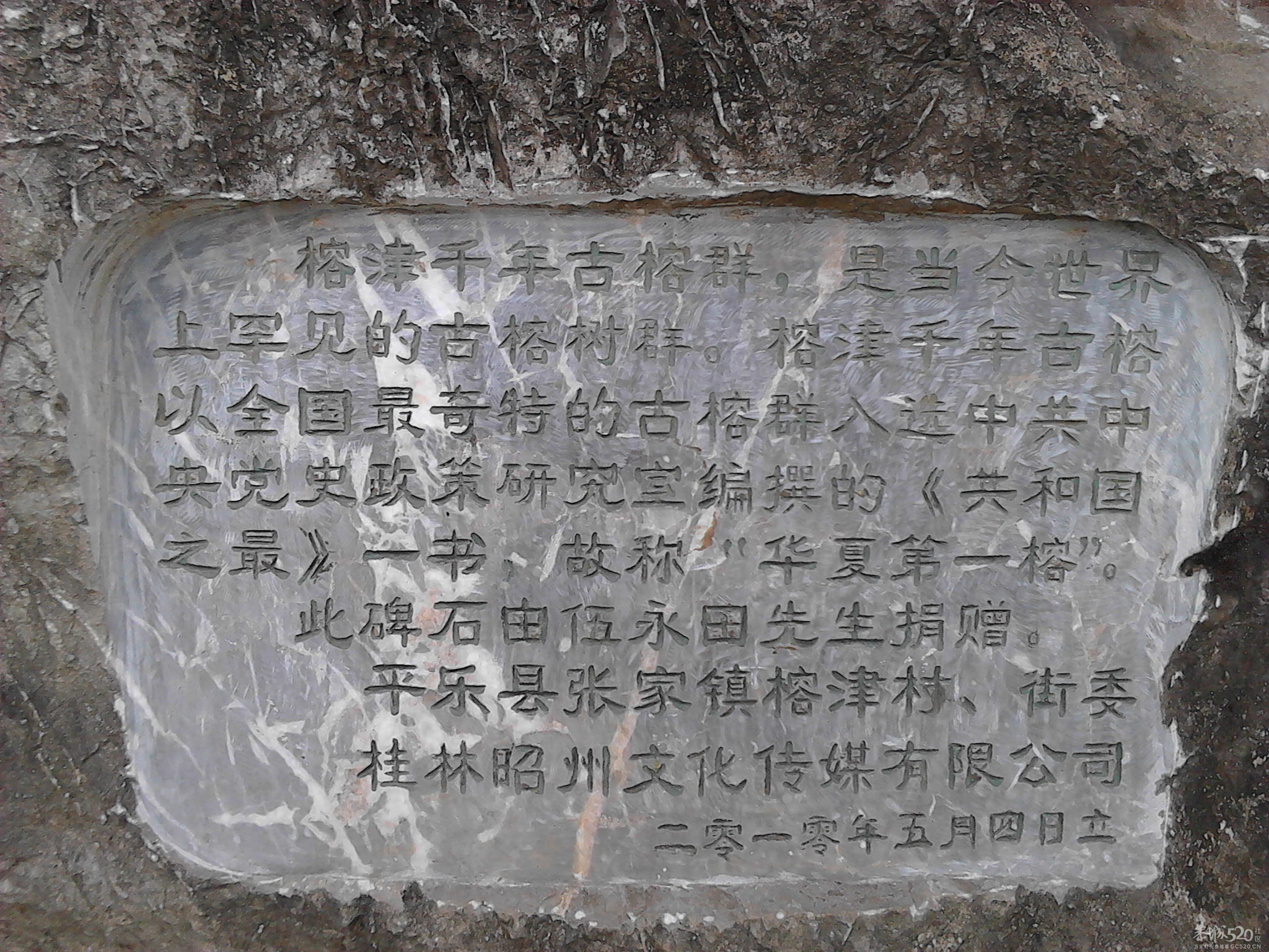 3 24 平乐榕津耍来189 / 作者:罗少爷 / 帖子ID:65453