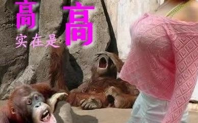 高手在民间184 / 作者:瑶乡看兰 / 帖子ID:65637