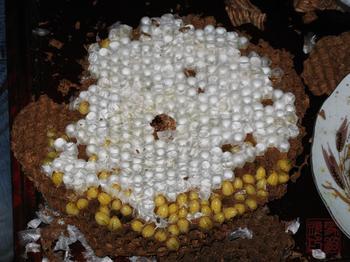 大家来看看骗老人的假货187 / 作者:爱迩美全屋定制 / 帖子ID:65652