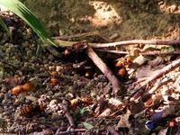 大家来看看骗老人的假货862 / 作者:爱迩美全屋定制 / 帖子ID:65652