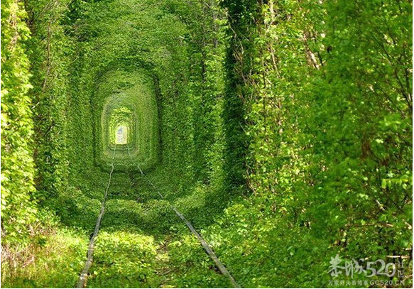 与你穿过世间最美的树隧道27 / 作者:遗忘の街角 / 帖子ID:65921