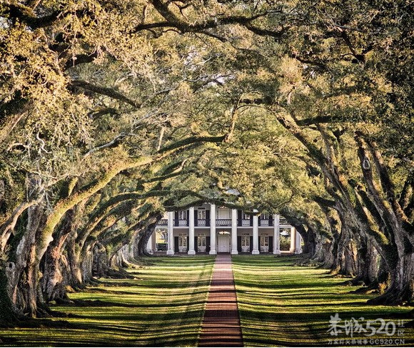 与你穿过世间最美的树隧道46 / 作者:遗忘の街角 / 帖子ID:65921