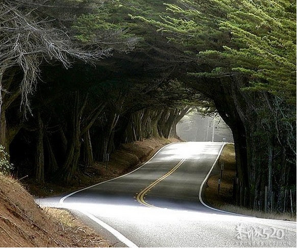 与你穿过世间最美的树隧道468 / 作者:遗忘の街角 / 帖子ID:65921