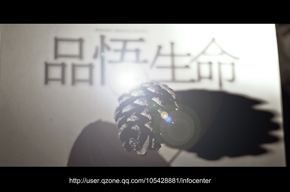 零碎452 / 作者:講不醜 / 帖子ID:66061