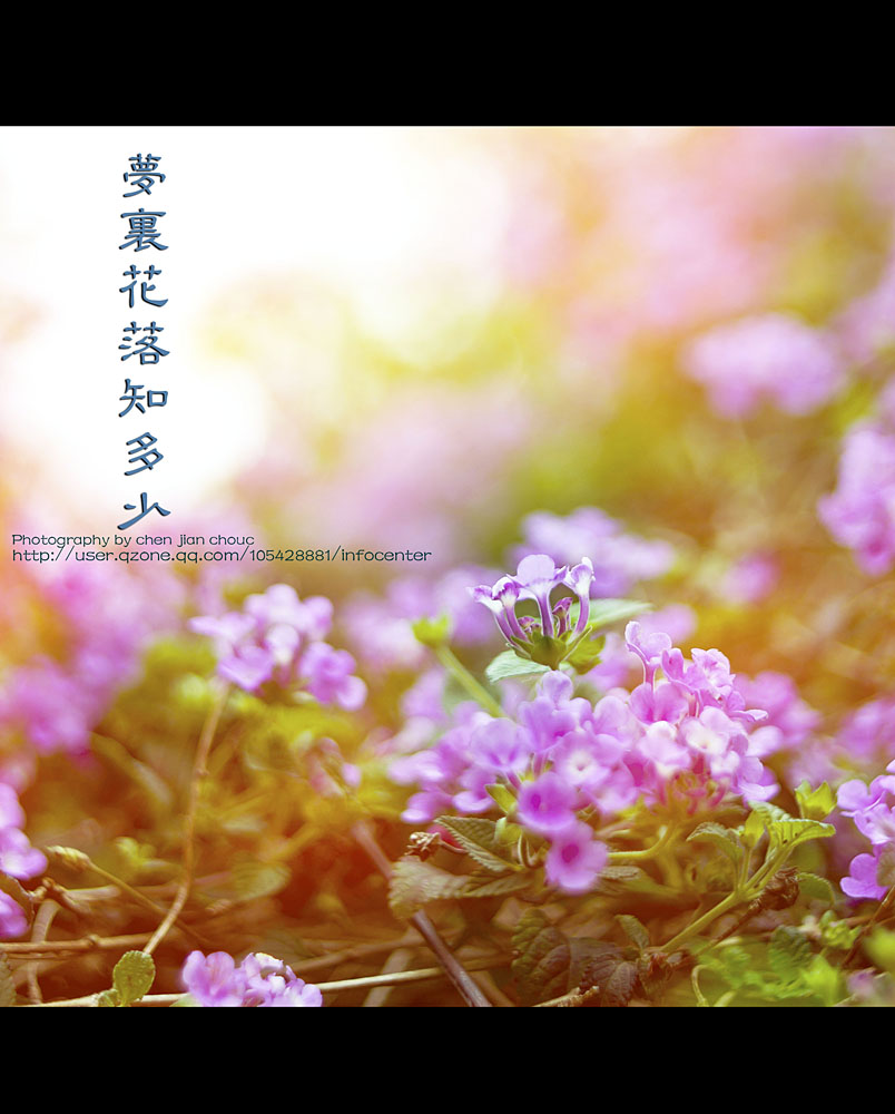 零碎275 / 作者:講不醜 / 帖子ID:66061