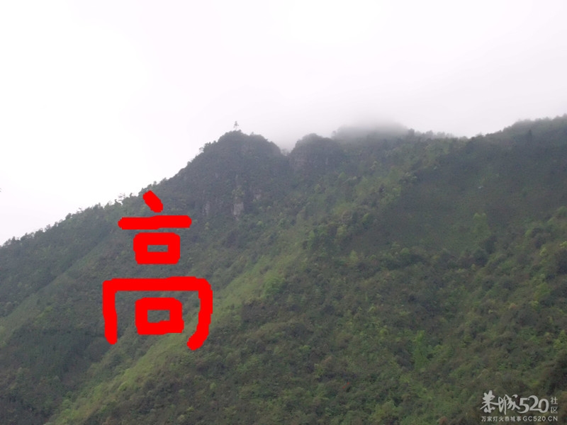 台湾人看简体汉字特点650 / 作者:彡黑Se幽默彡 / 帖子ID:65846