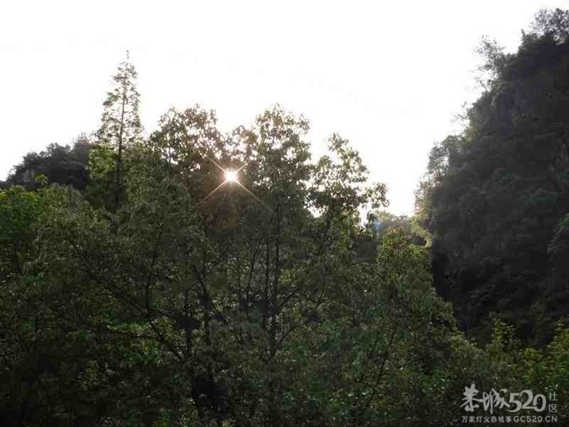随拍太阳和花539 / 作者:小雨点 / 帖子ID:66853