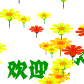 曦阳485 / 作者:瑶乡看兰 / 帖子ID:66983