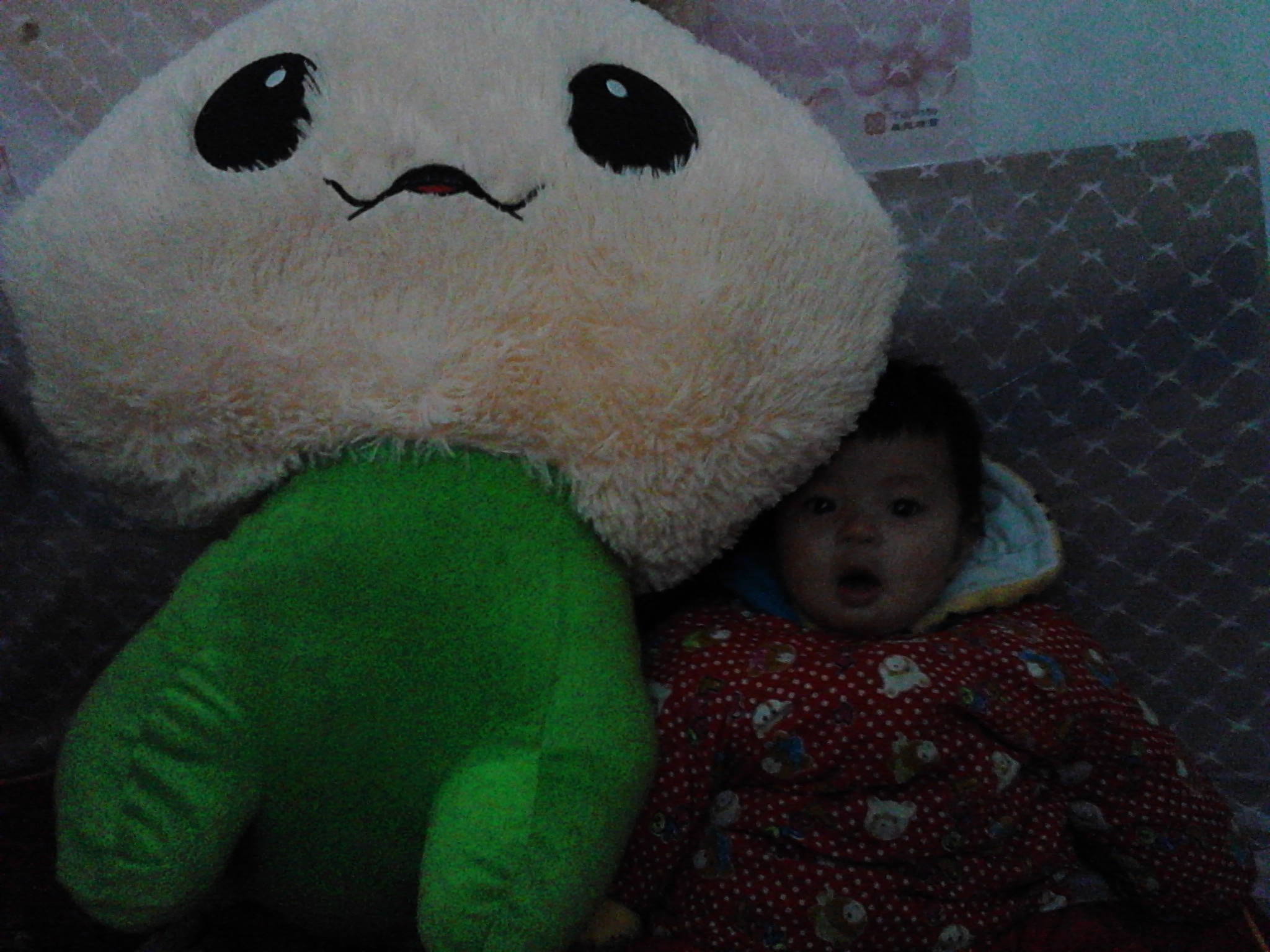 晒晒俺家的宝贝976 / 作者:晴天看雨 / 帖子ID:67155