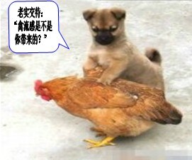 坦白从宽，抗拒从严988 / 作者:淘气蜻蜓 / 帖子ID:67159