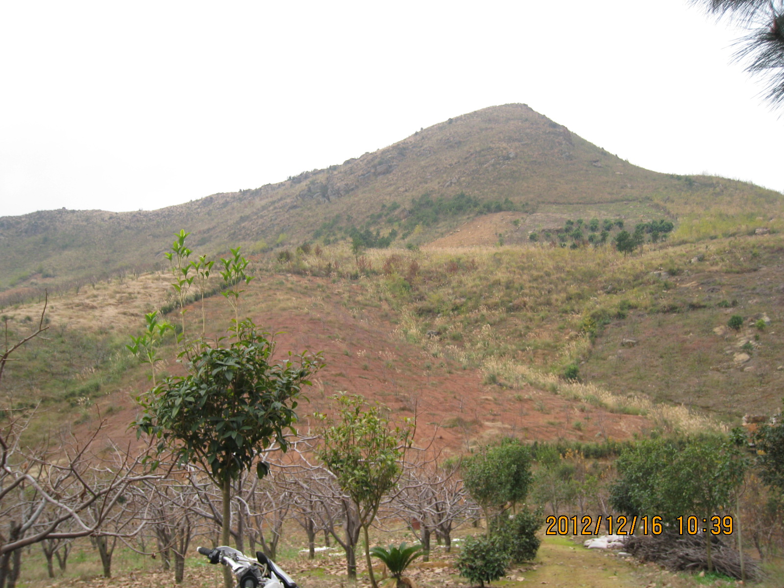 两次越野的相片508 / 作者:野娃崽 / 帖子ID:67275